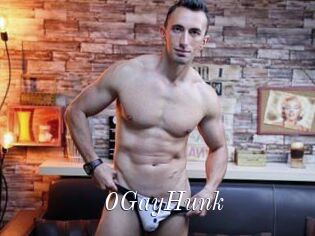 0GayHunk