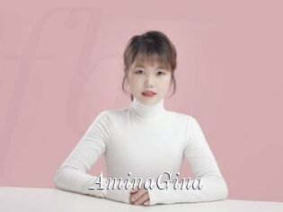 AminaGina