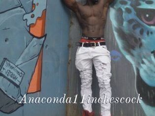 Anaconda11inchescock