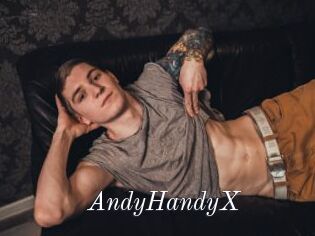 AndyHandyX