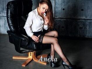 Aneka
