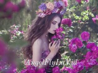 AngelFlyLaVid