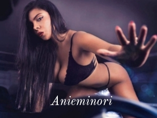 Anieminori