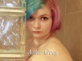 Aster_Grey