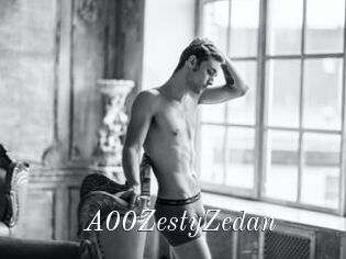 A00ZestyZedan