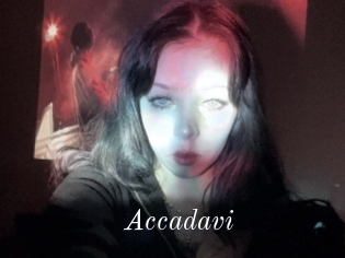 Accadavi