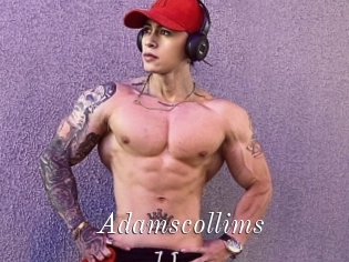 Adamscollims