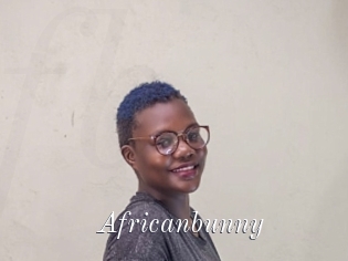 Africanbunny
