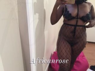 Africanrose