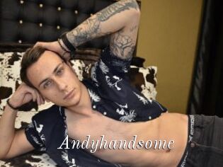 Andyhandsome