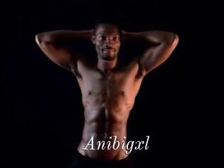 Anibigxl
