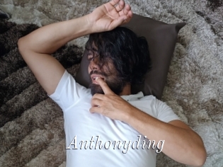 Anthonyding