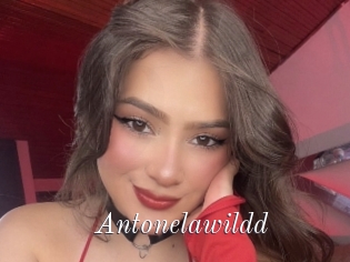 Antonelawildd
