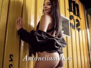 Antonellasallow