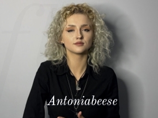 Antoniabeese