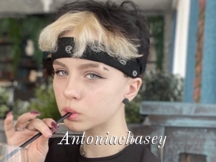 Antoniachasey