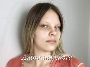 Antoniadumford