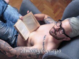 Antonybigexpo