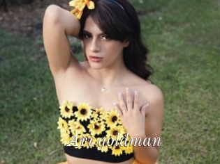 Ari_goldman