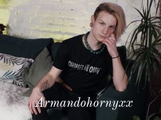 Armandohornyxx
