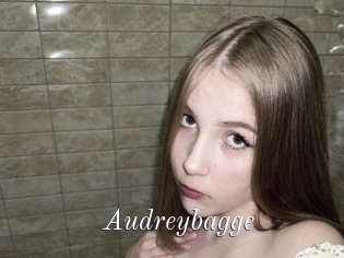 Audreybagge