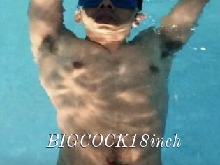 BIGCOCK18inch