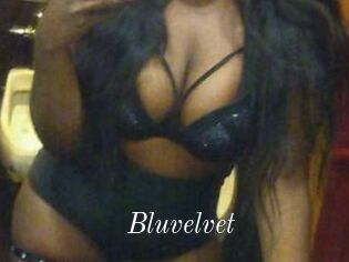 Bluvelvet