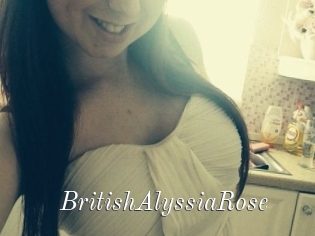 BritishAlyssiaRose