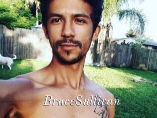 Bruce_Sullivan