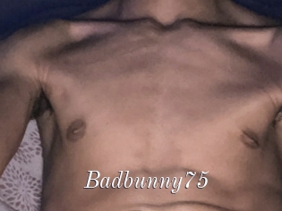Badbunny75