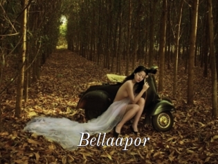 Bellaapor