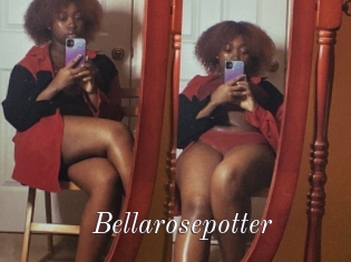 Bellarosepotter