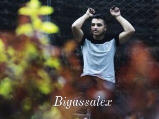 Bigassalex