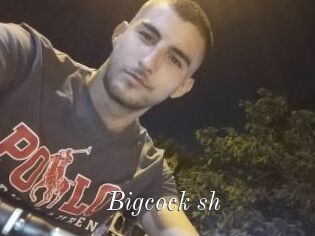 Bigcock_sh