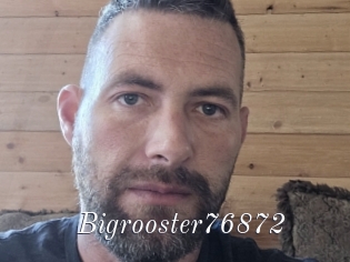 Bigrooster76872