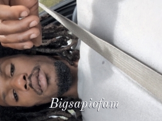 Bigsapiofam