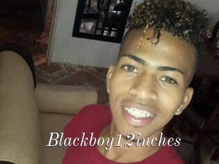 Blackboy12inches