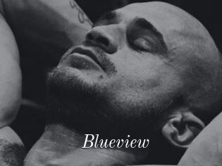 Blueview