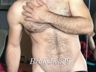 Brbigdick29
