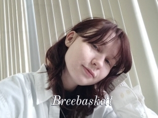 Breebaskett