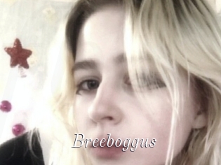 Breeboggus