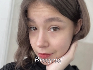 Breegrief