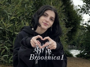 Broosnica1