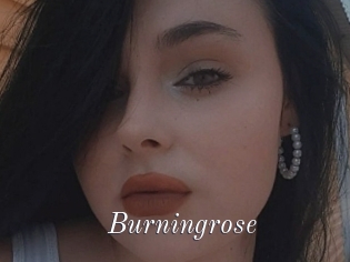 Burningrose