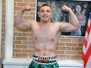 CarlitoBoxer