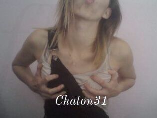 Chaton31
