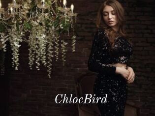 ChloeBird