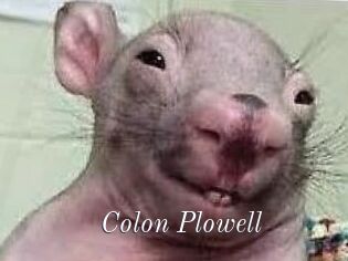 Colon_Plowell