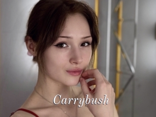 Carrybush