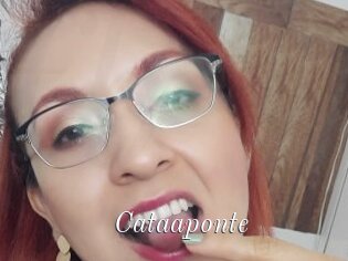 Cataaponte